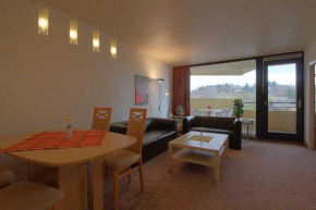 Apartment 428 Hohegeiß